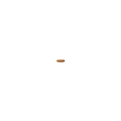 208 Angled Brow Brush