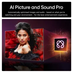48 Inch OLED 4K Smart Entry TV