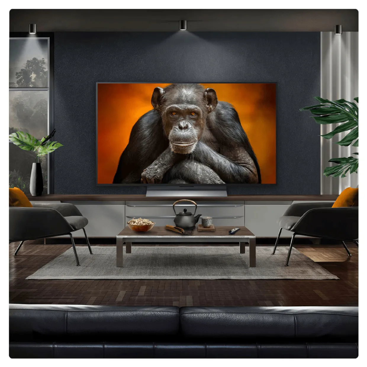 48 Inch OLED TV with Centre Stand
