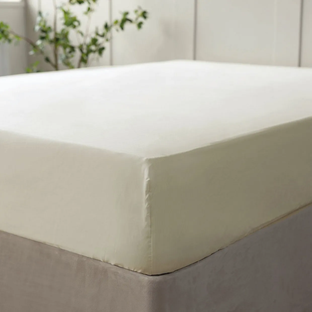 600 Thread Count Pure Egyptian Cotton Sateen Fitted Sheet Ivory