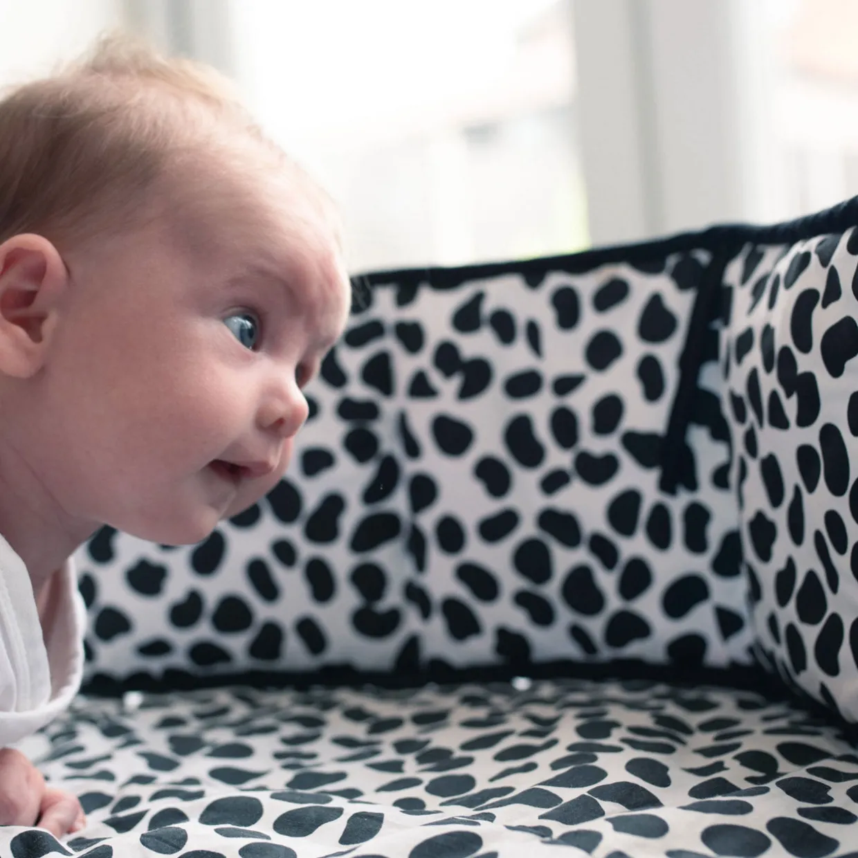 Animal Print Reversible Sensory Strip