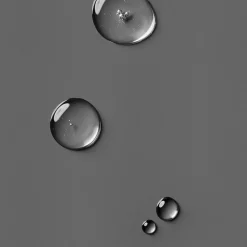 Anti-Age Max LS Water Lotion