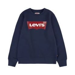 Batwing Logo Sweatshirt 10-14 Years