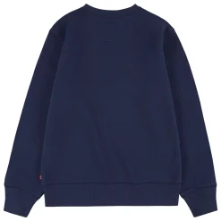 Batwing Logo Sweatshirt 10-14 Years