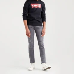 Batwing Logo Sweatshirt 10-14 Years