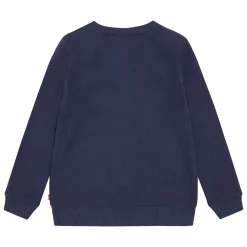 Batwing Logo Sweatshirt 6-8 Years