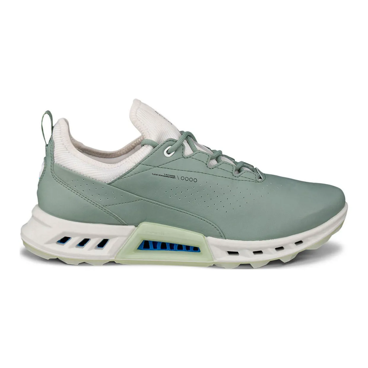 Biom C4 Golf Shoes