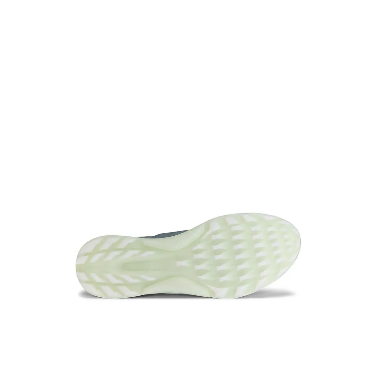Biom C4 Golf Shoes