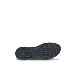 Biom C4 Golf Shoes
