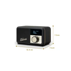 Bluetooth Speaker FM Radio