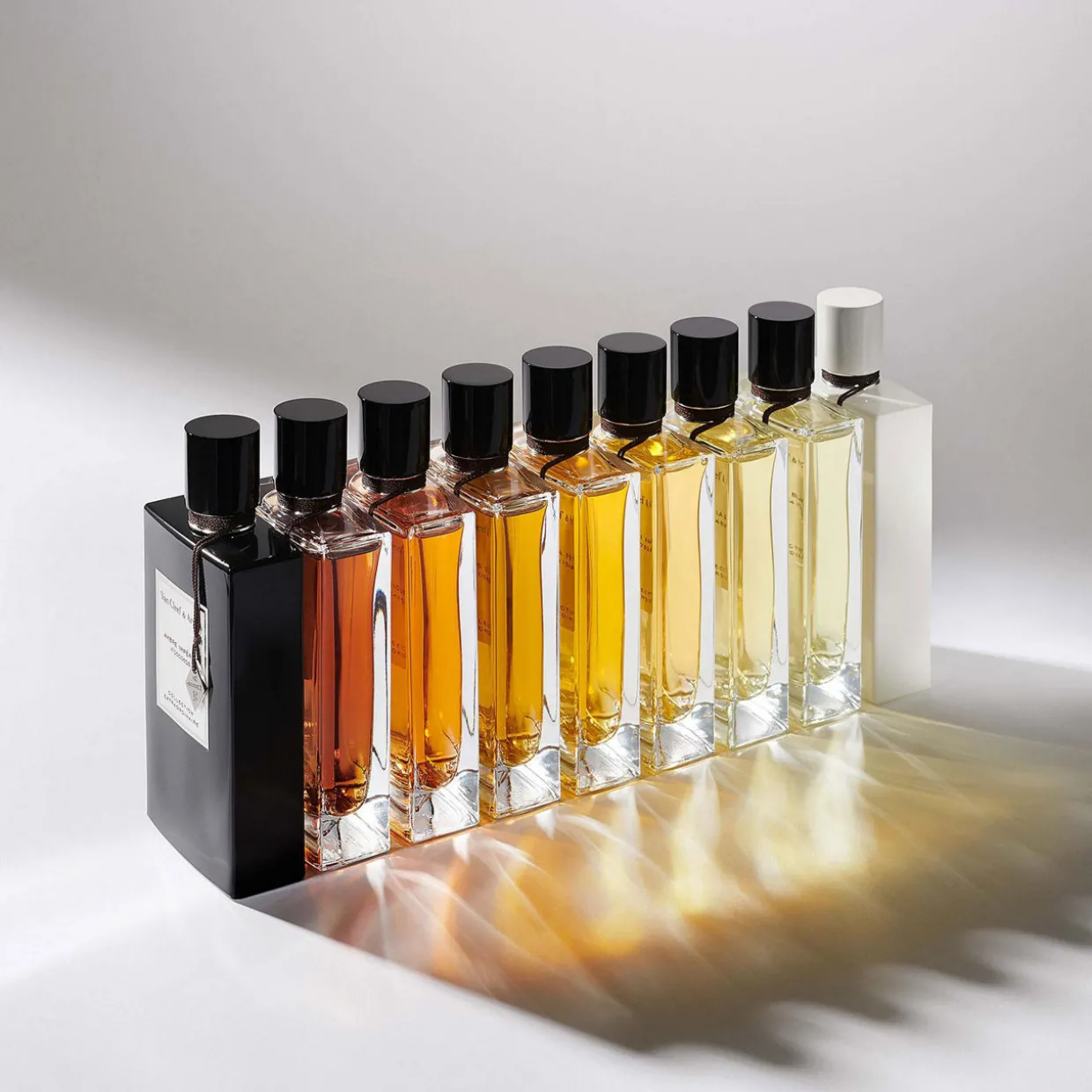 California Reverie EDP