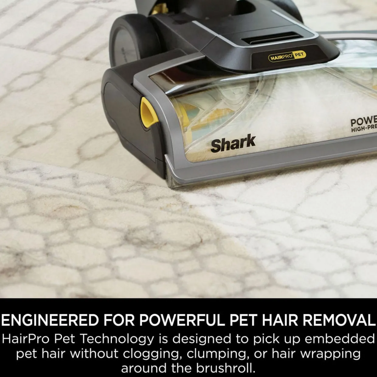 CarpetXpert Pet Pro