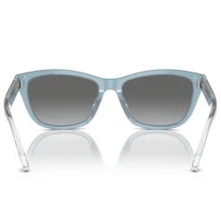 Cat Eye Sunglasses EA4227U