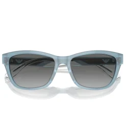 Cat Eye Sunglasses EA4227U