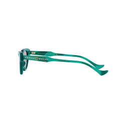 Cat Eye Sunglasses GC002069
