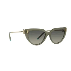 Cat Eye Sunglasses TF4195