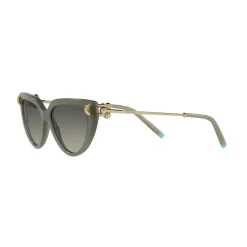 Cat Eye Sunglasses TF4195