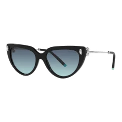 Cat Eye Sunglasses TF4195