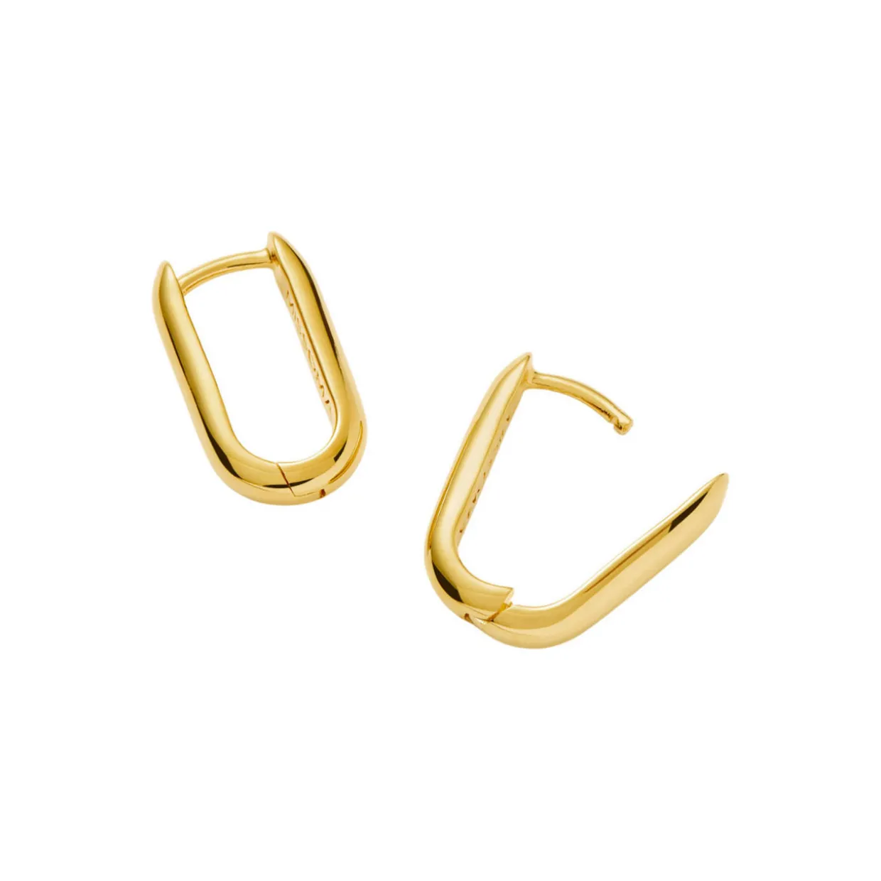 Classic Ovate Hoop Earrings