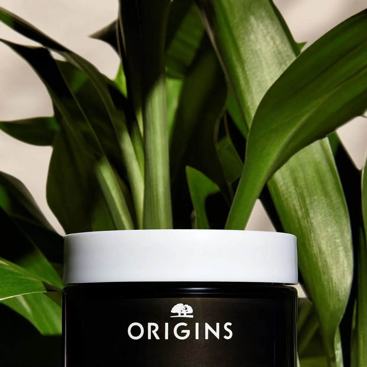 Clear Improvement Rich Purifying Charcoal Mask