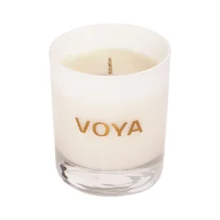 Coconut And Jasmine Scented Candle