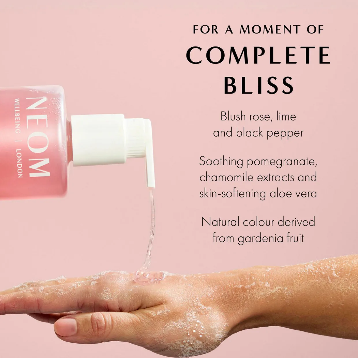Complete Bliss Hand Wash Refill 600ml
