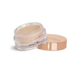 Complete Cover Up Concealer