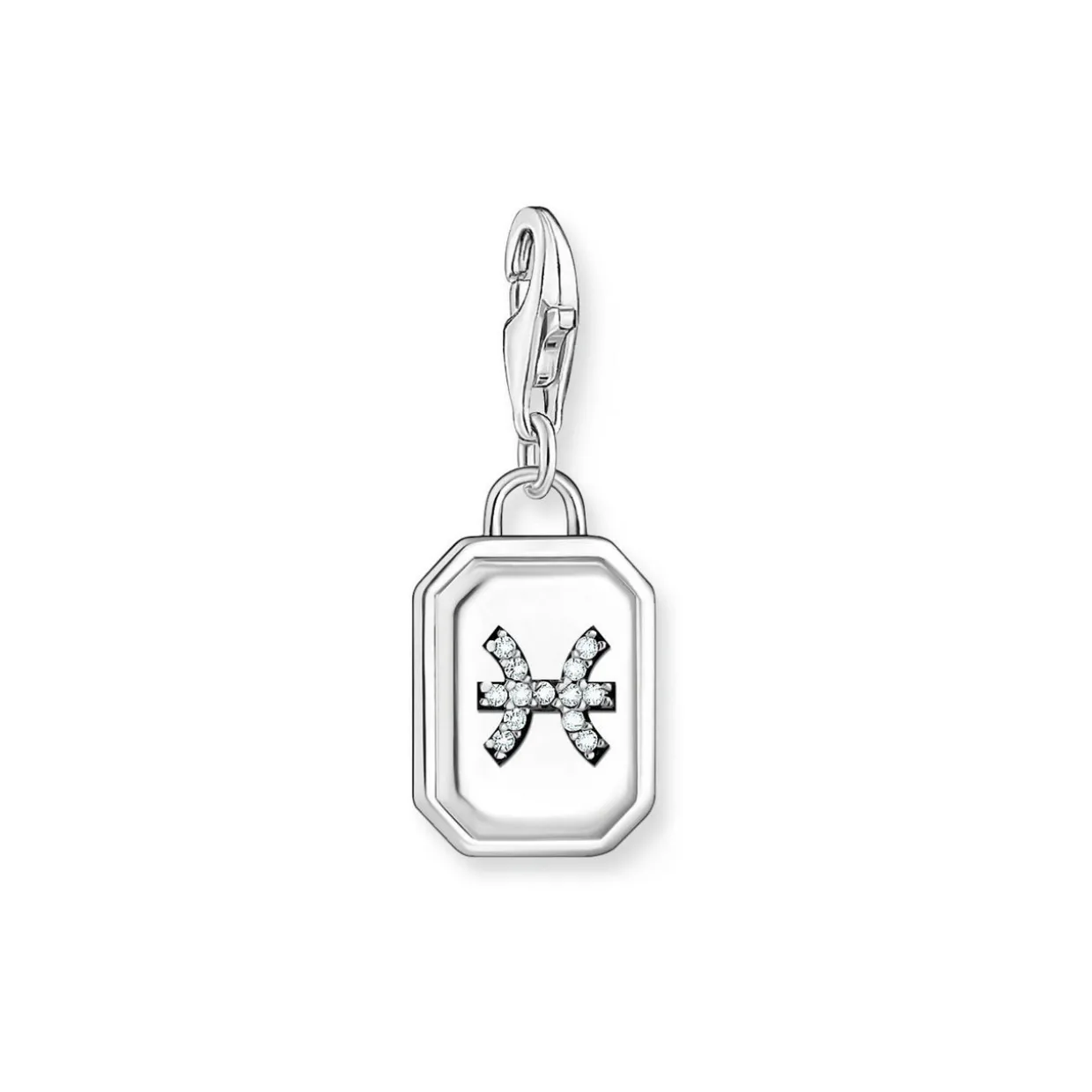 3D Pisces Star Sign Charm