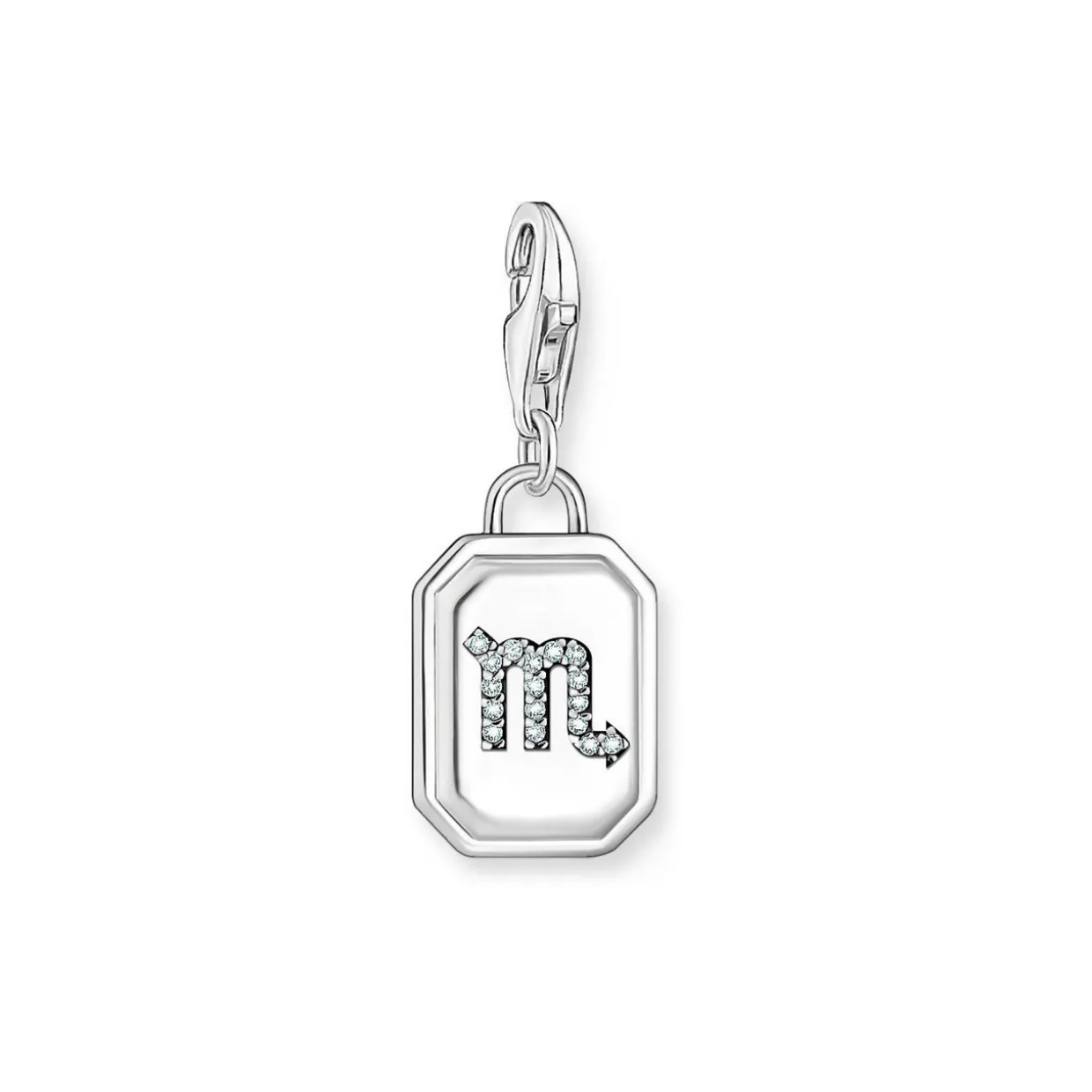 3D Scorpio Star Sign Charm