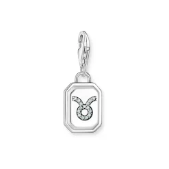 3D Taurus Star Sign Charm