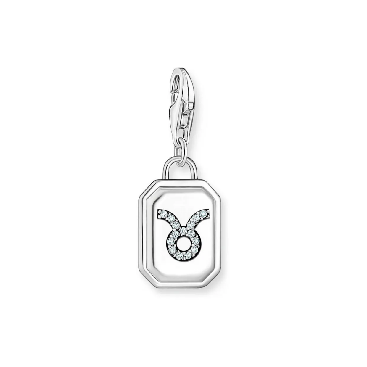 3D Taurus Star Sign Charm