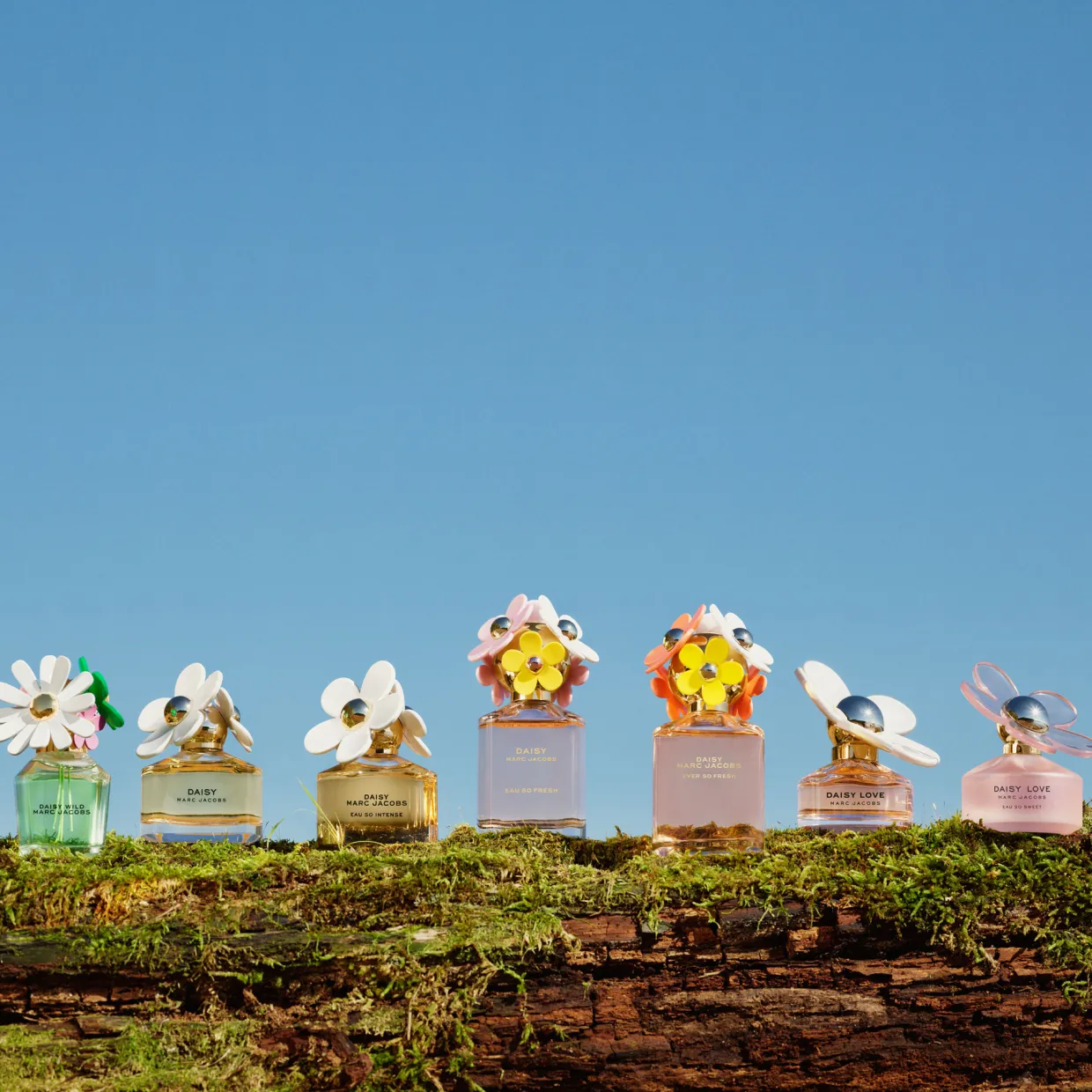 Daisy Ever So Fresh EDP