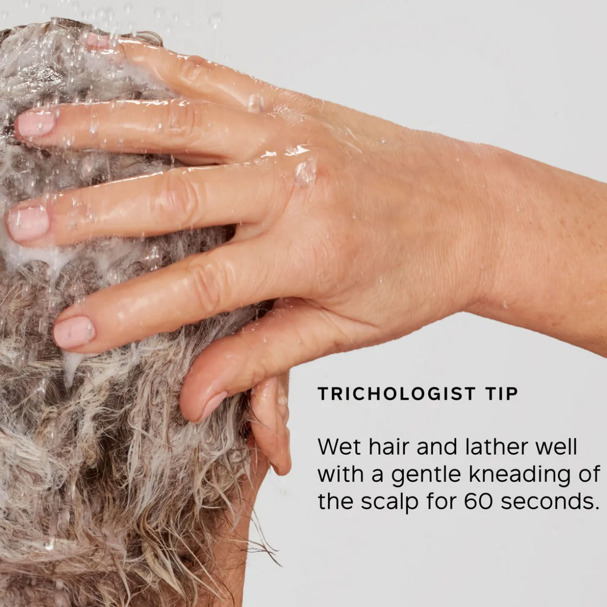 Density Thickening Shampoo