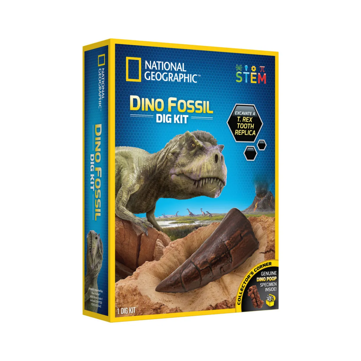 Dino Fossil Dig Kit