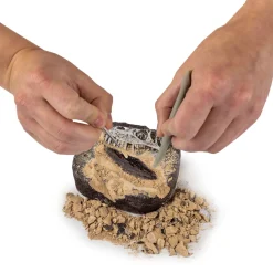 Dino Fossil Dig Kit