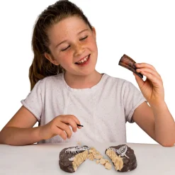 Dino Fossil Dig Kit