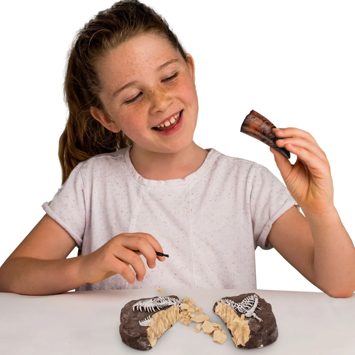 Dino Fossil Dig Kit