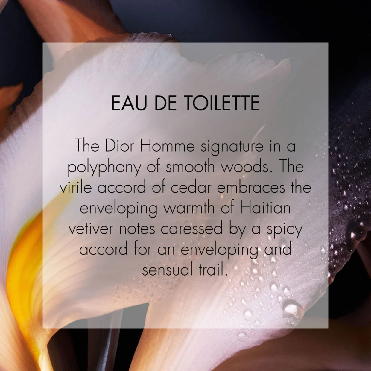 Dior Homme Eau de Toilette