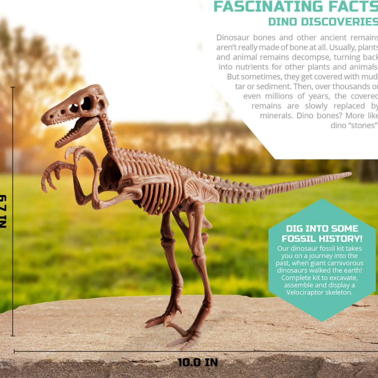 Discovery™ Mindblown Dinosaur Fossil Dig Excavation Kit