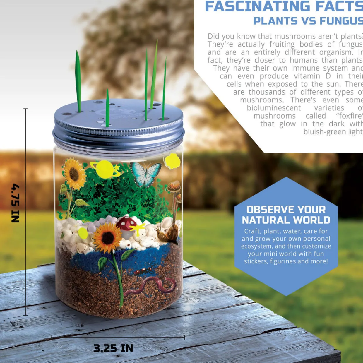 Discovery™ Mindblown DIY Terrarium Grow Kit