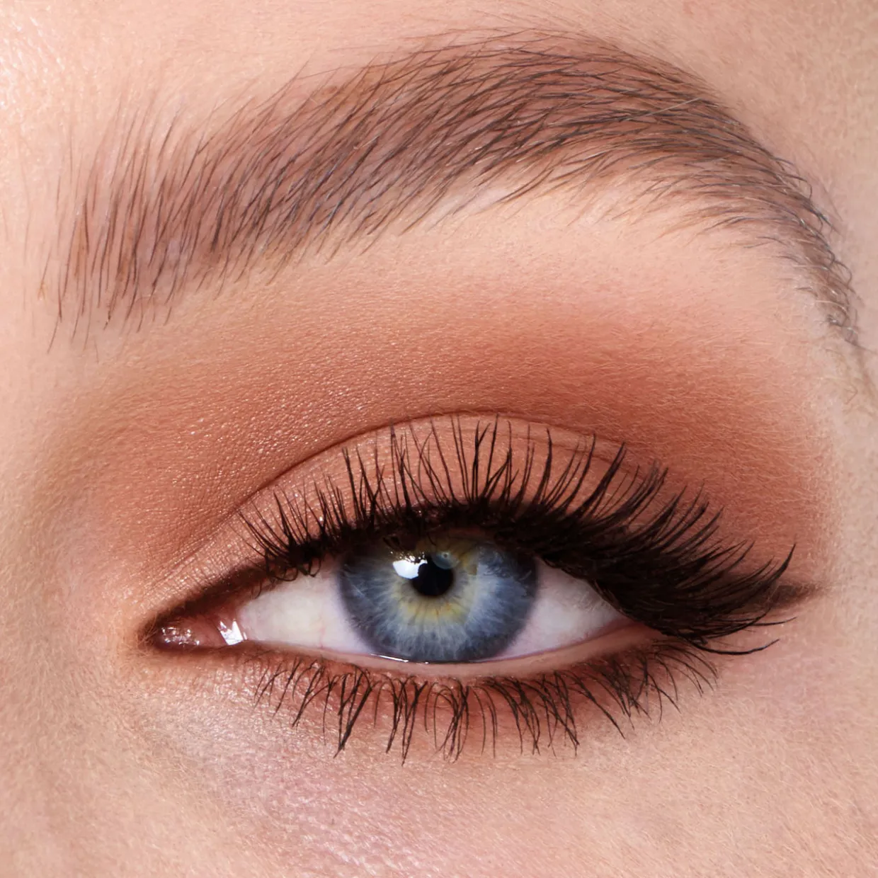 Easy Eye Palette