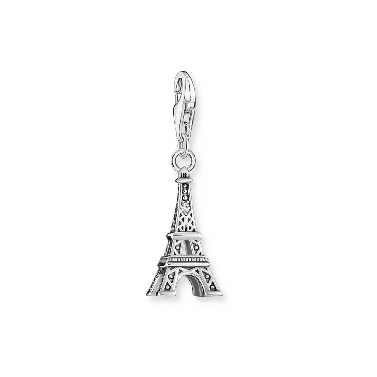 Eiffel Tower Charm