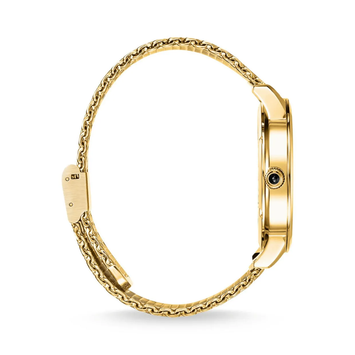 Elements Of Nature Watch