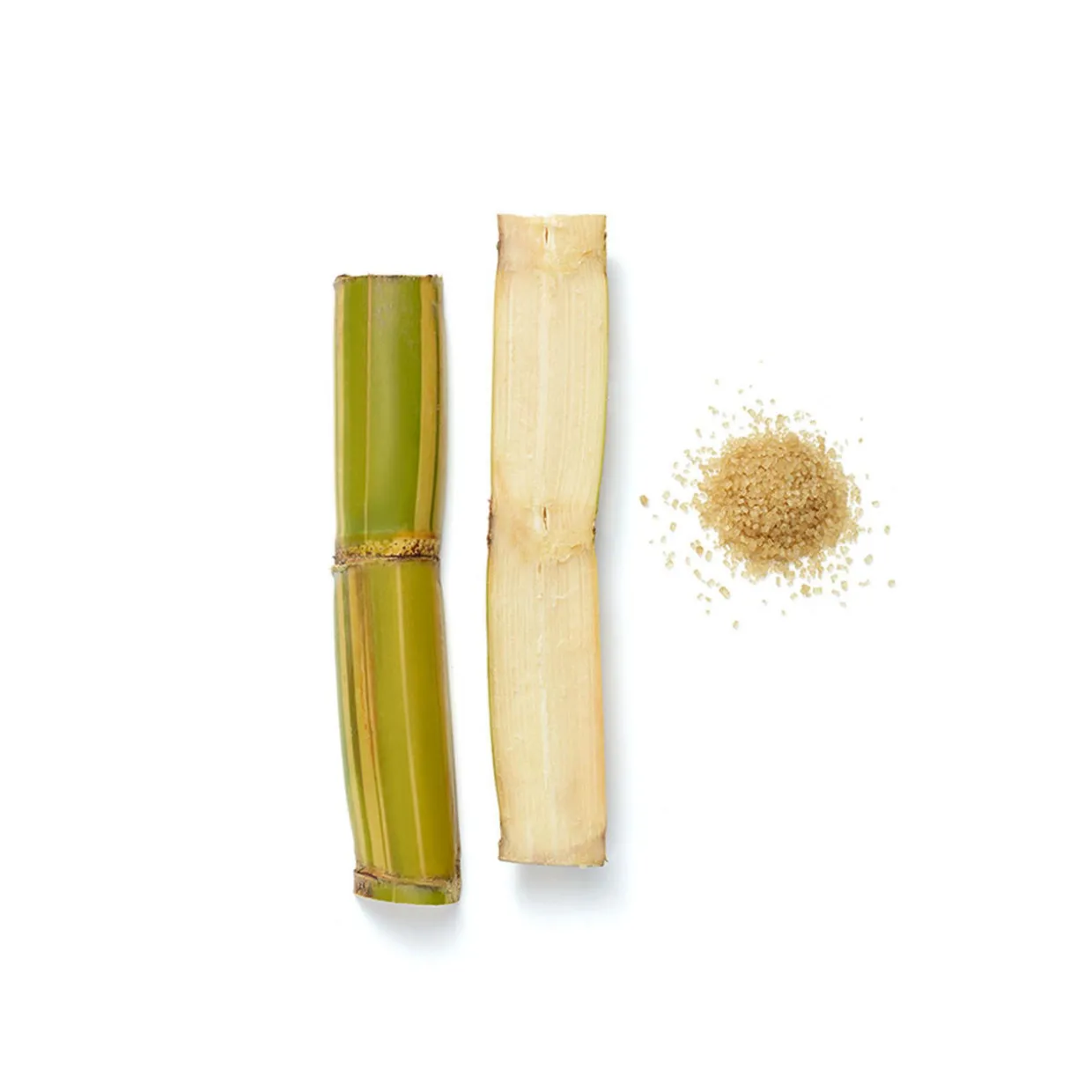 Elixir Collection Purifying Scalp Scrub & Shampoo