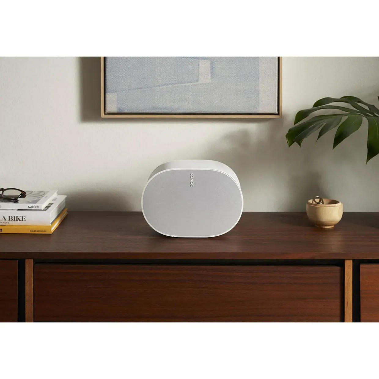 Era 300 Multiroom Speaker