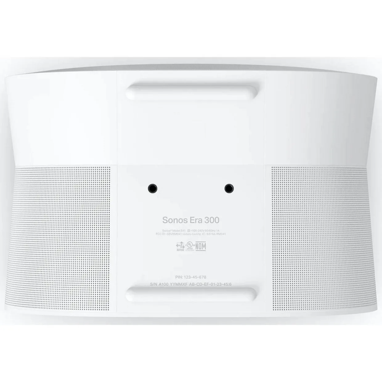 Era 300 Multiroom Speaker