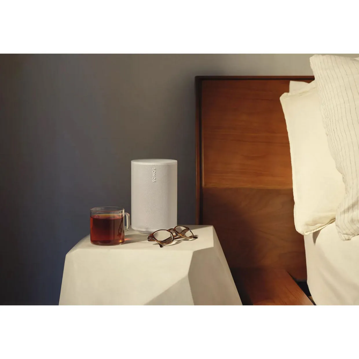Era 100 Speaker