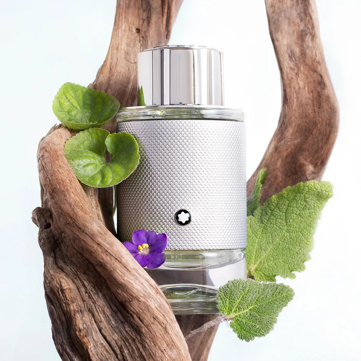 Explorer Platinum EDP