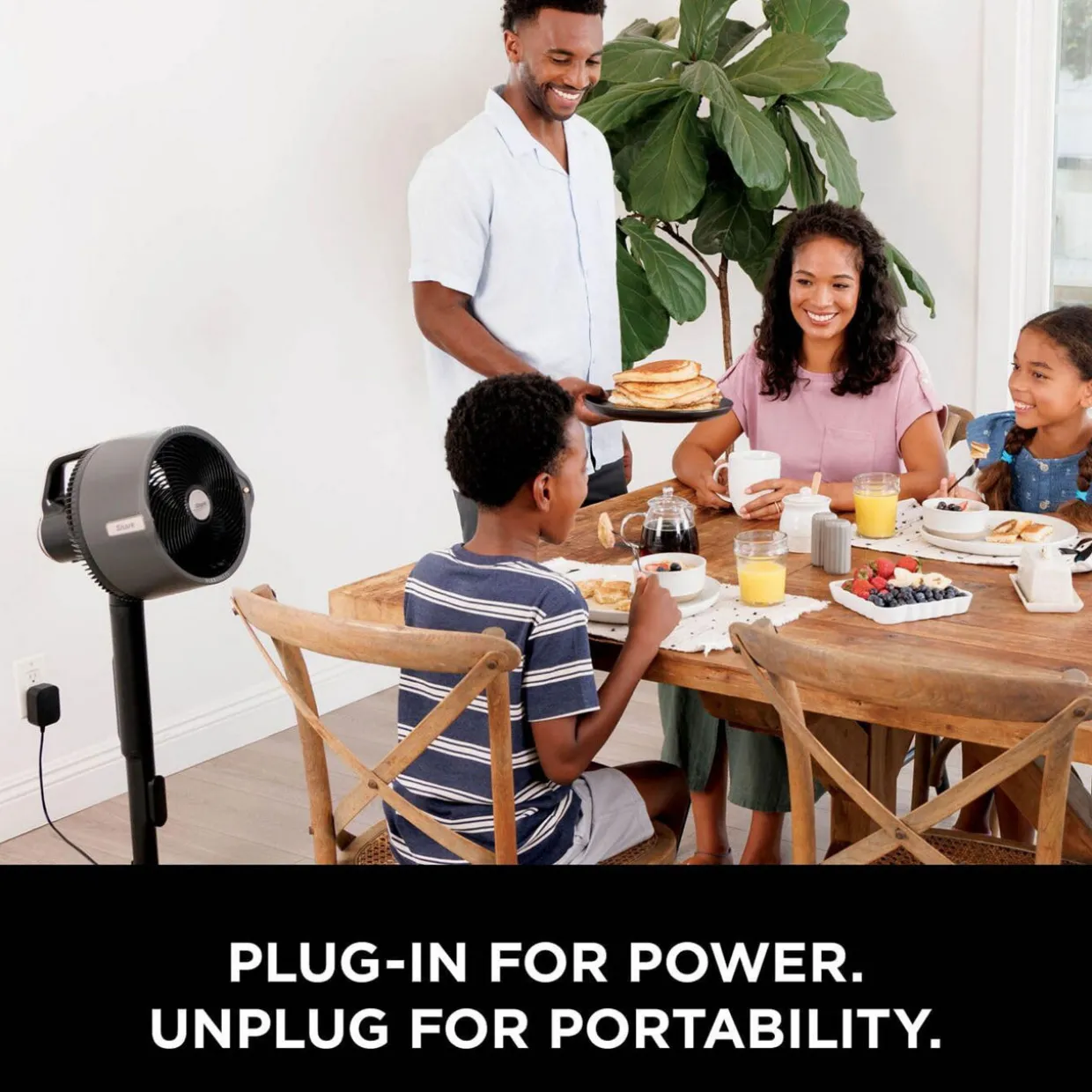 FlexBreeze Pro Mist Indoor & Outdoor Fan & Outdoor Misting System