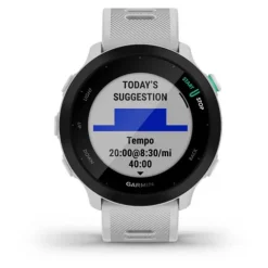 Forerunner 55 GPS Whitestone